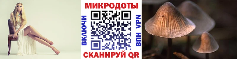 Псилоцибиновые грибы прущие грибы  Купить  Куса 