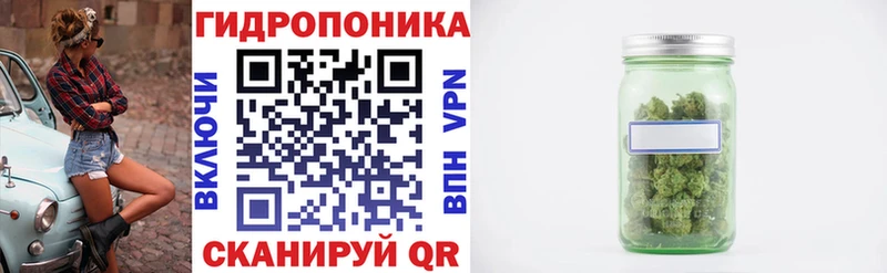 МАРИХУАНА сатива  Купить где  Куса 